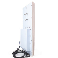 R16-12DB Integrated UHF Reader
