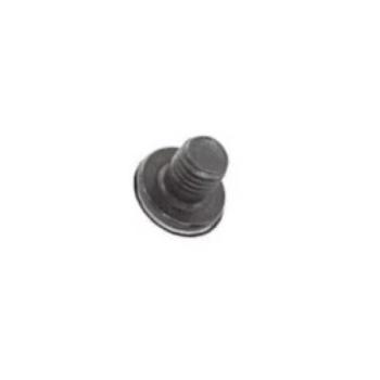 Screw M5x6mm (Hexagonal Head)